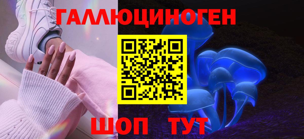Галлюциногенные грибы Psilocybe  Вход с VPN  купить закладку  Унеча  Галлюциногенные грибы Psilocybine cubensis 