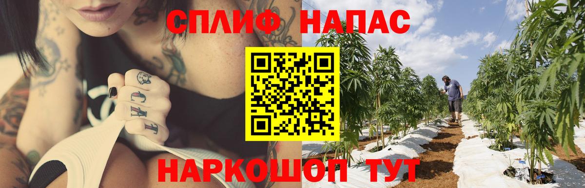 Унеча  Каннабис Bruce Banner  Каннабис Ganja  Вход с VPN  Конопля Bruce Banner 